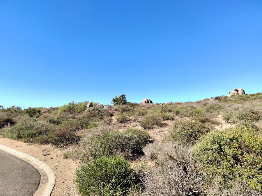 0 Bedroom Property for Sale in Steenbergs Cove Western Cape